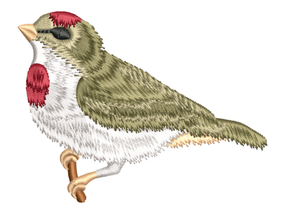 Red Capped Songbird Embroidery: A Designer’s Review for Small Business Branding